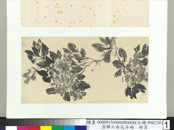 清釋達受花卉　冊　一