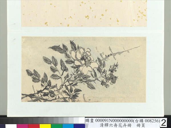 清釋達受花卉　冊　二