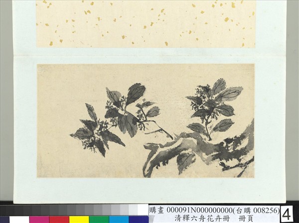 清釋達受花卉　冊　四