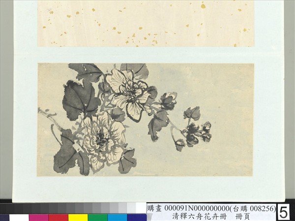 清釋達受花卉　冊　五