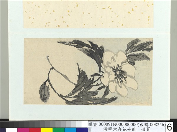清釋達受花卉　冊　六
