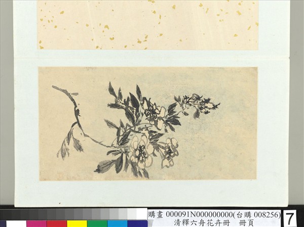 清釋達受花卉　冊　七