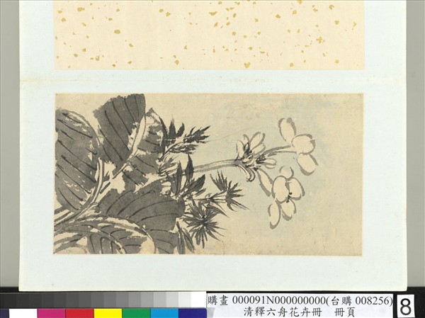 清釋達受花卉　冊　八