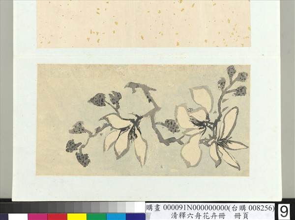 清釋達受花卉　冊　九