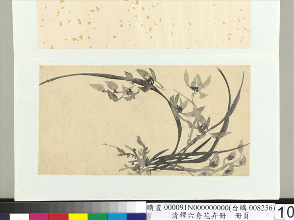 清釋達受花卉　冊　十