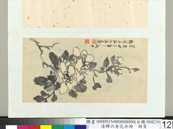 清釋達受花卉　冊　十二