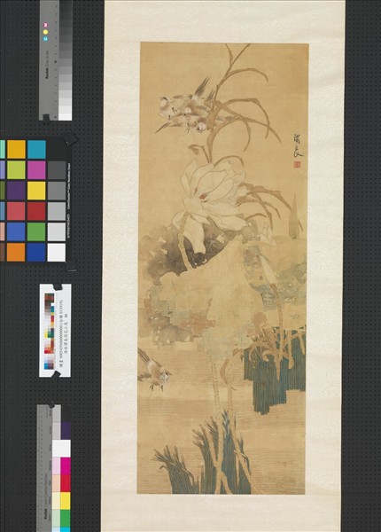 清任熊荷花小鳥　軸