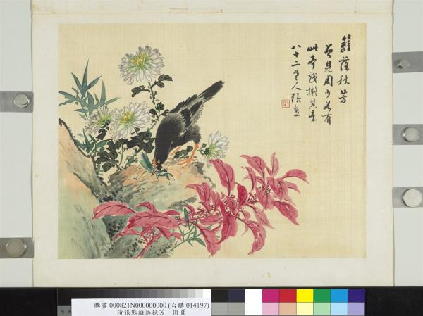 清張熊籬落秋芳　冊頁