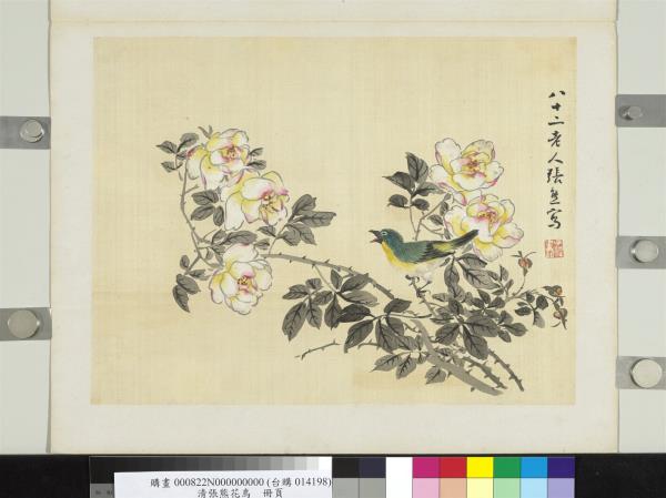 清張熊花鳥　冊頁