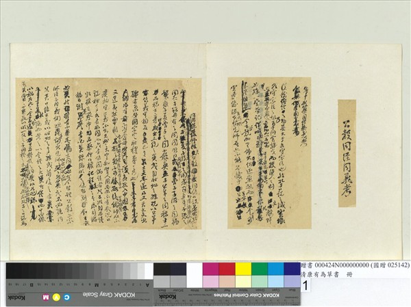 清康有為草書　冊