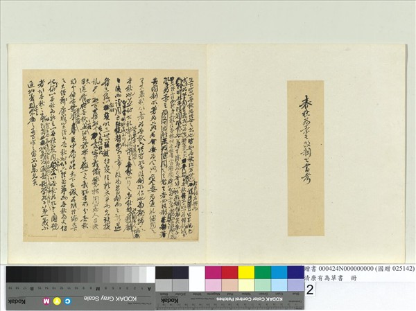 清康有為草書　冊