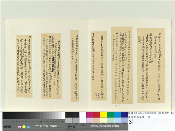 清康有為草書　冊