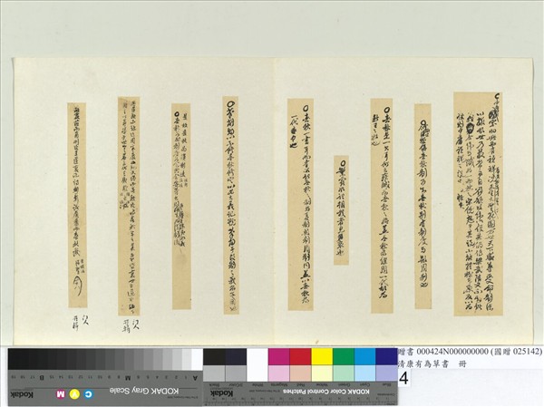 清康有為草書　冊