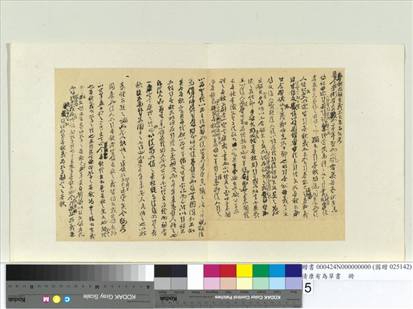 清康有為草書　冊