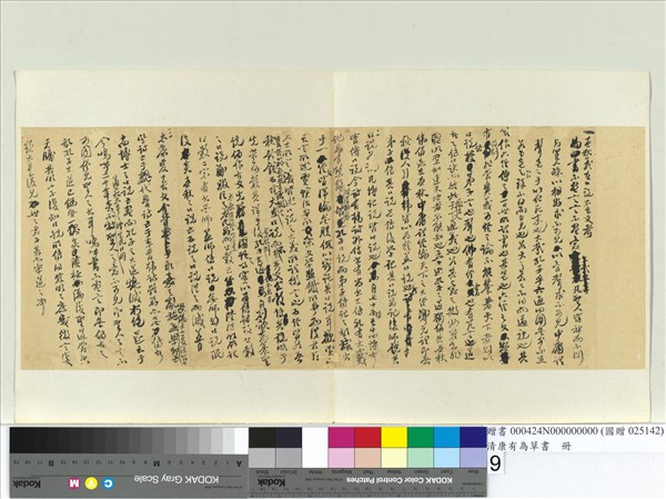 清康有為草書　冊