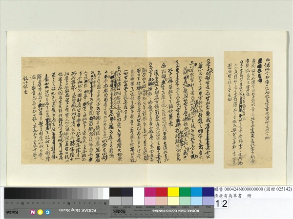 清康有為草書　冊