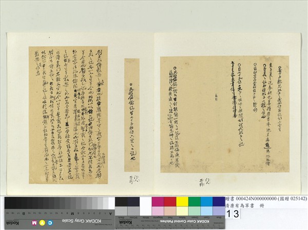 清康有為草書　冊