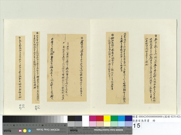 清康有為草書　冊