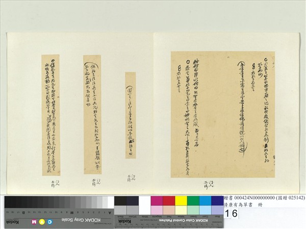 清康有為草書　冊