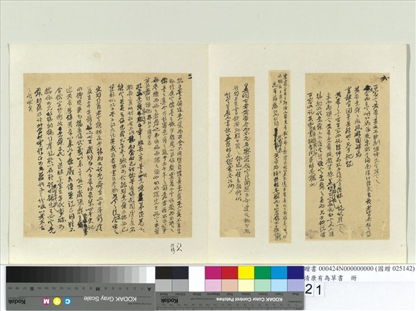 清康有為草書　冊