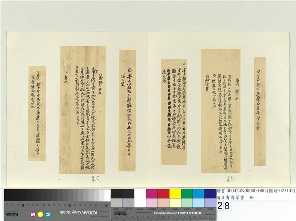 清康有為草書　冊