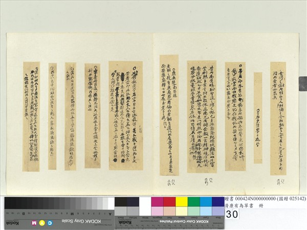 清康有為草書　冊