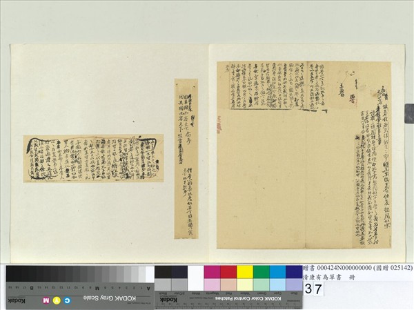 清康有為草書　冊