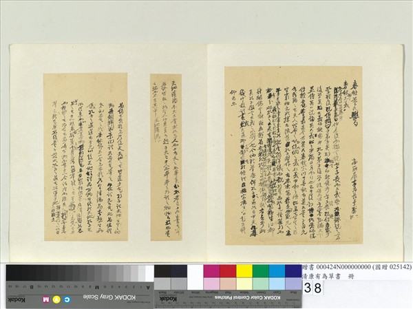 清康有為草書　冊