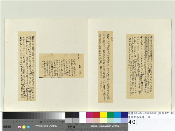 清康有為草書　冊