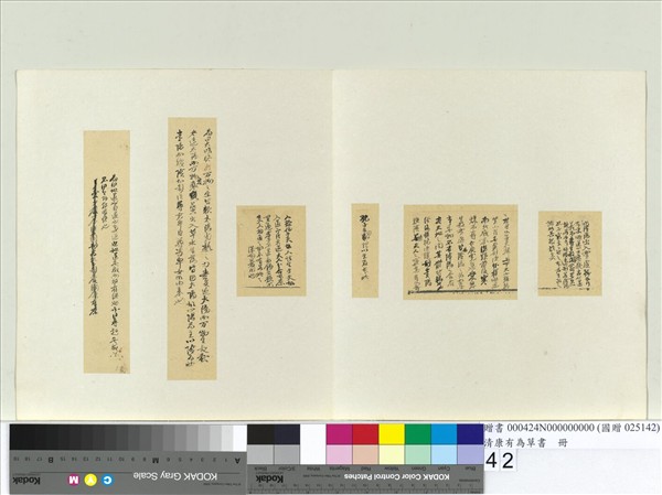 清康有為草書　冊