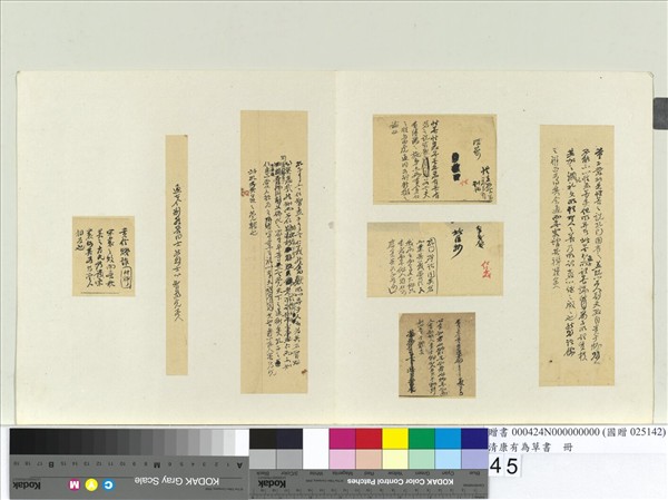 清康有為草書　冊