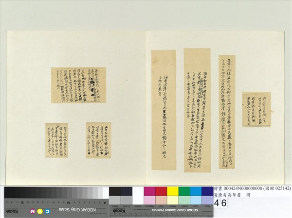 清康有為草書　冊