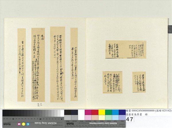 清康有為草書　冊