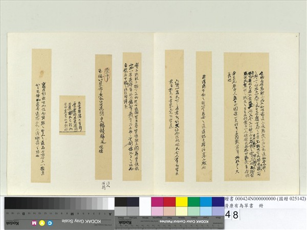 清康有為草書　冊