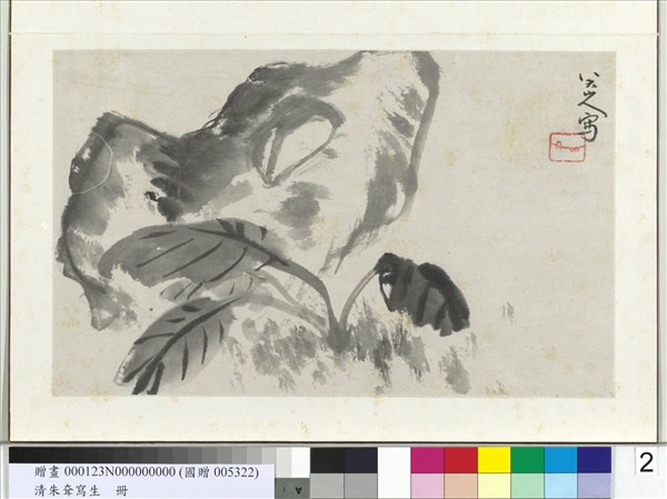 清朱耷寫生　冊　拳石玉簪