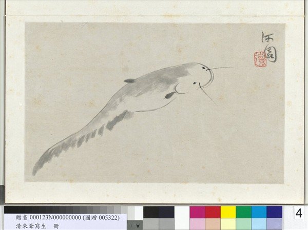 清朱耷寫生　冊　鯰魚