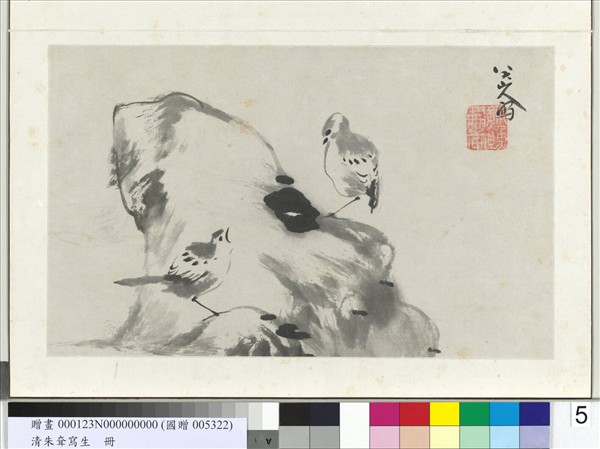 清朱耷寫生　冊　雀石