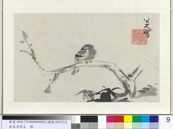 清朱耷寫生　冊　枯木寒雀