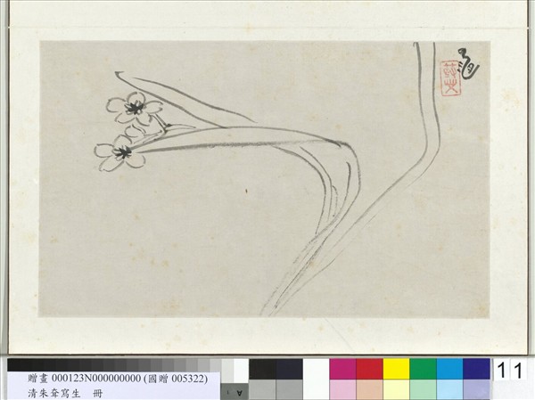 清朱耷寫生　冊　水仙