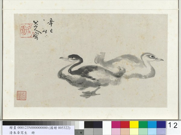 清朱耷寫生　冊　雙鳧