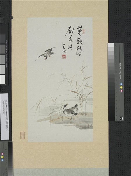 民國溥儒蘆雁圖　軸