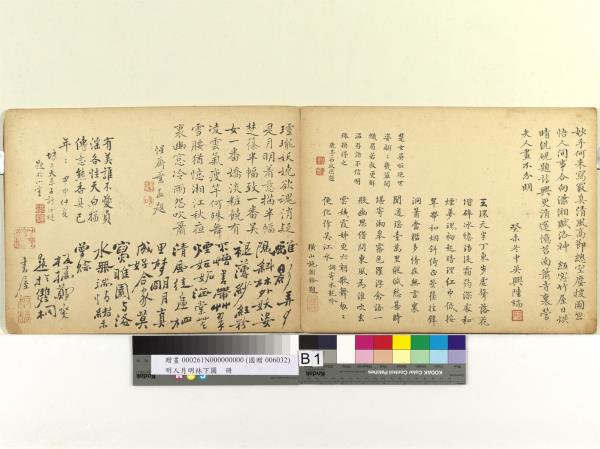 明人月明林下圖　冊