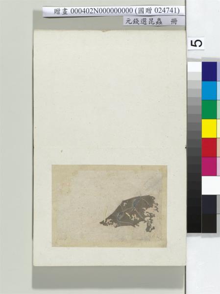 元錢選昆蟲　冊　蠹魚