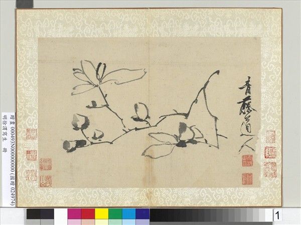 明徐渭寫生冊　冊　水墨畫辛夷