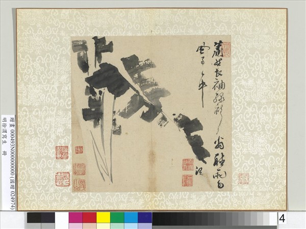 明徐渭寫生冊　冊　水墨畫芭蕉