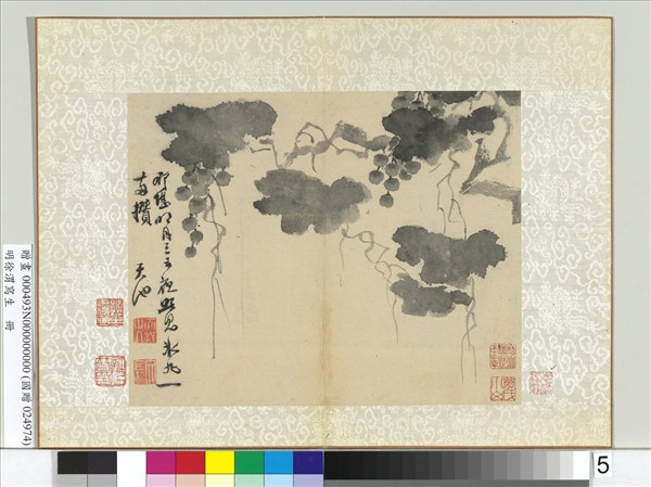 明徐渭寫生冊　冊　水墨畫葡萄