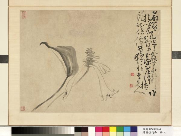 清黃慎花卉　冊　玉簪