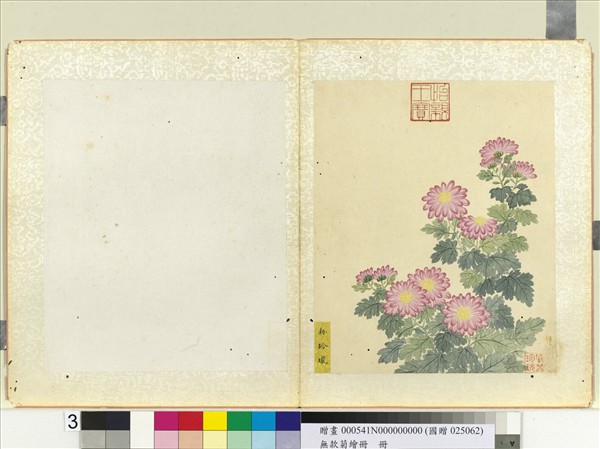 無款菊繪冊　冊　粉玲瓏