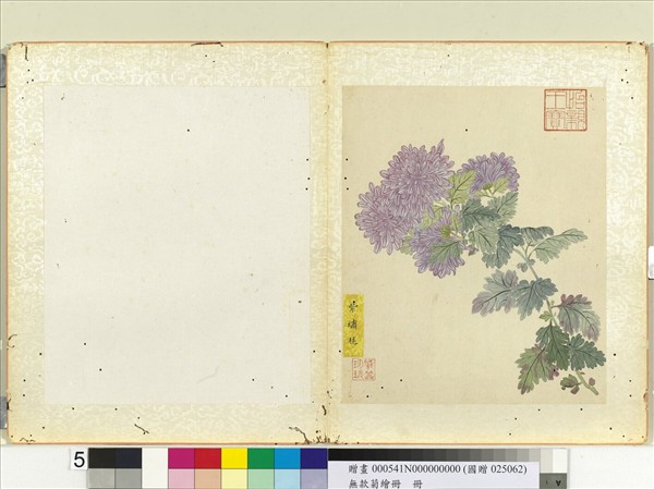 無款菊繪冊　冊　紫繡毬