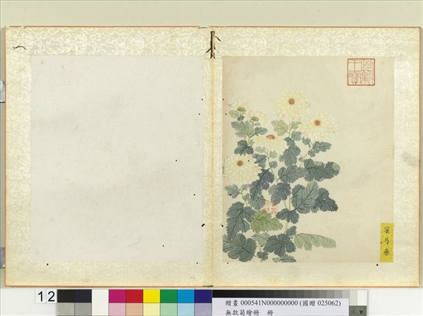 無款菊繪冊　冊　蜜芍藥